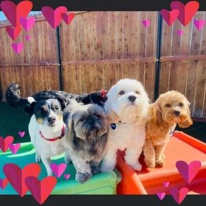 Meet your Posher, Sandra